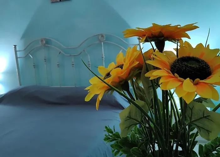 Il Girasole