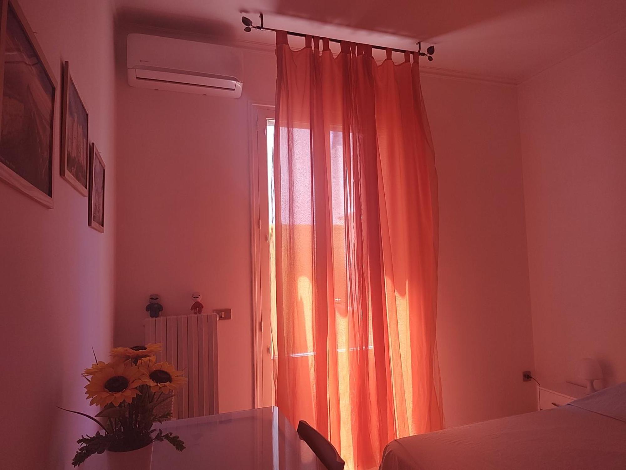 Il Girasole